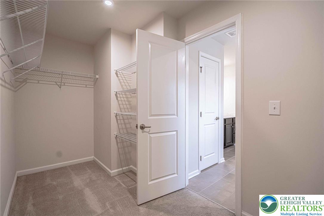 2584 Raya Way Easton, PA 18045 - Photo 43 of 55 Primary Walk-in closet