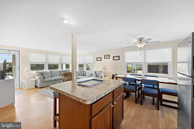 a view of a backyard with pathway