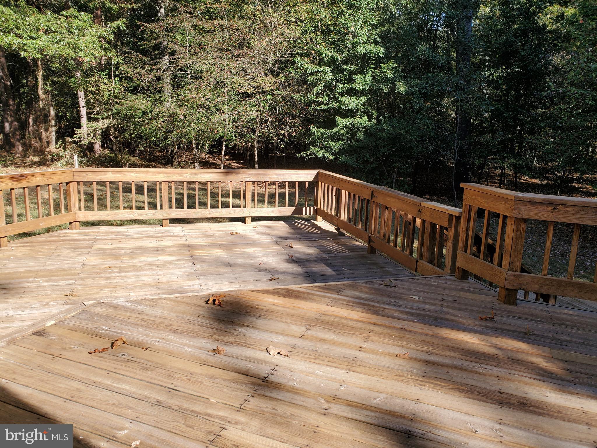 7782 Poplar Grove Road Severn, MD 21144 - Photo 42 of 52 Bathed in sunlight!