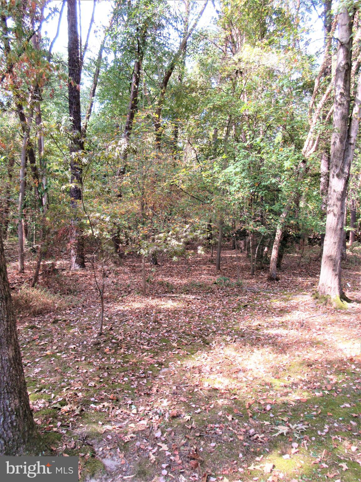 7782 Poplar Grove Road Severn, MD 21144 - Photo 45 of 52 Picture the wildlife you'll enjoy!