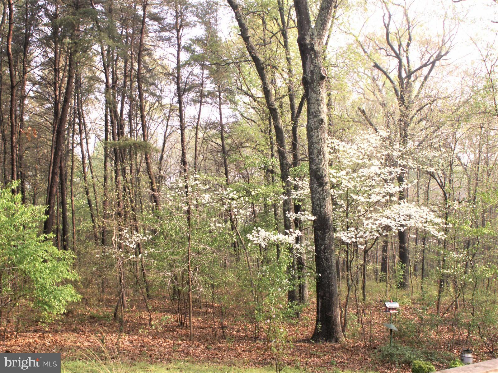 7782 Poplar Grove Road Severn, MD 21144 - Photo 46 of 52 Stunning color Spring, Summer & Fall.