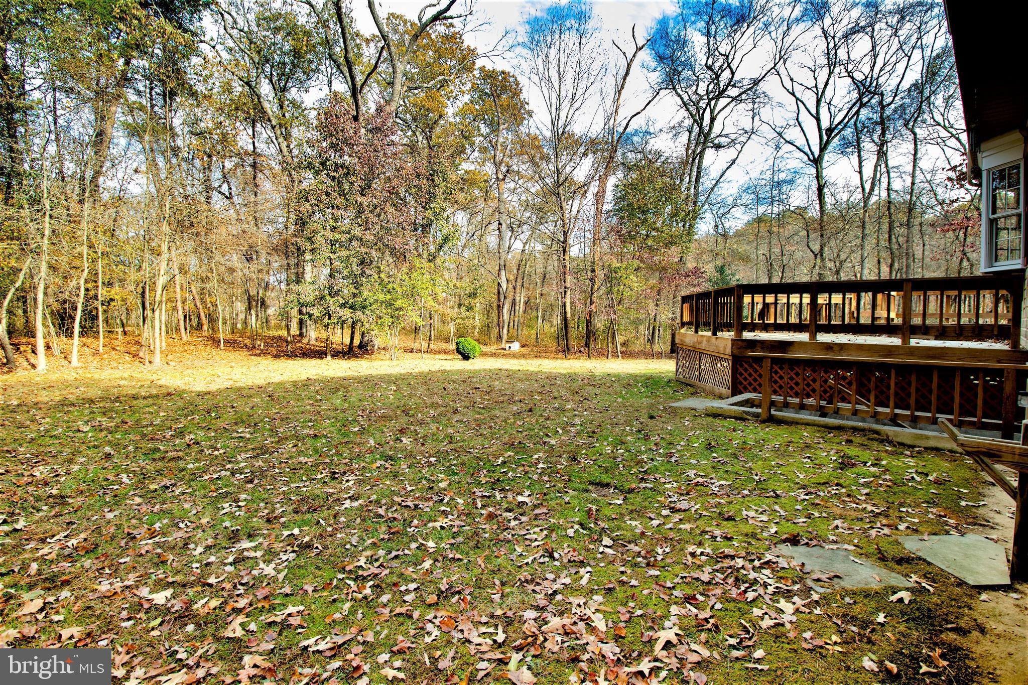 7782 Poplar Grove Road Severn, MD 21144 - Photo 49 of 52 So much property to enjoy