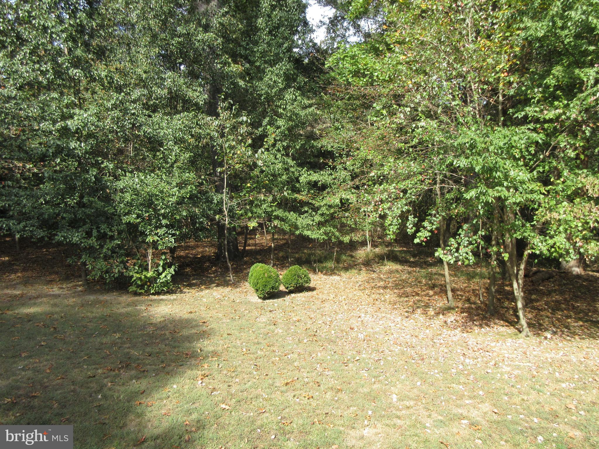 7782 Poplar Grove Road Severn, MD 21144 - Photo 51 of 52 Lush landscaping