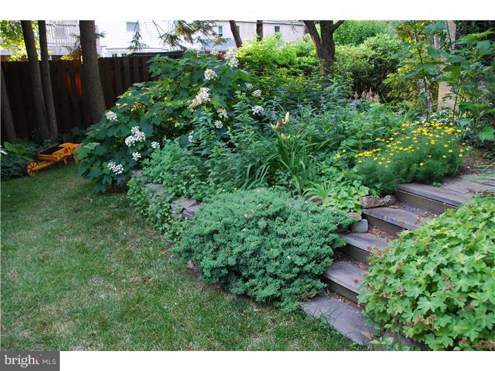 7908 Rambler Road Elkins Park, PA 19027 - Photo 8 of 25 Garden
