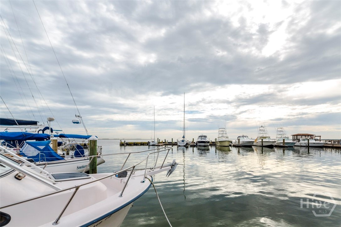 3 Tapestry Lane Savannah, GA 31411 - Photo 36 of 46 Landings Harbor Marina....just a few minutes walk from this home