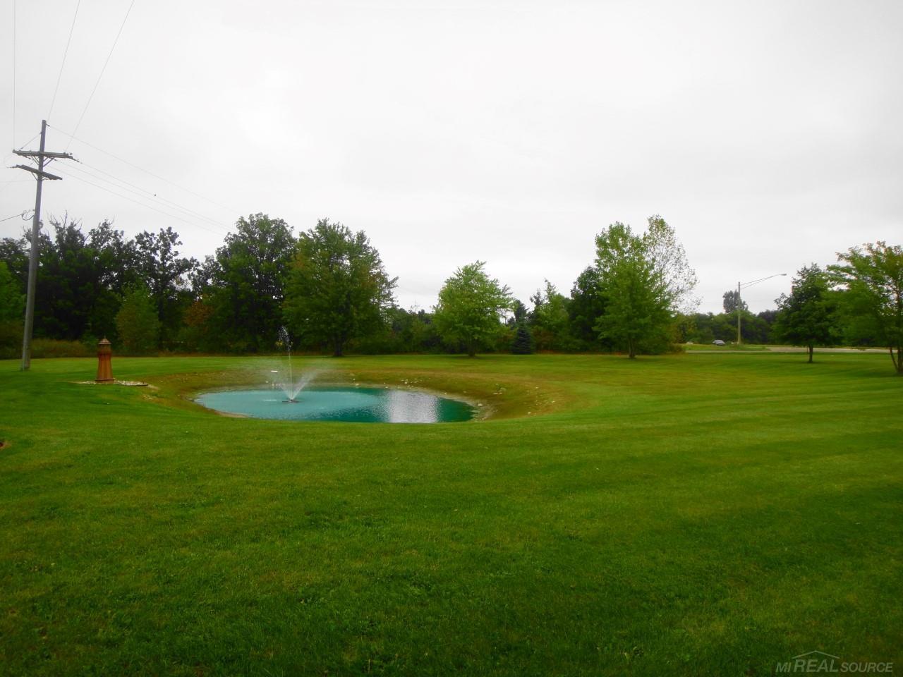 5989 Newark Road Imlay City, MI 48444 - Photo 6 of 30 31360668-5.JPG