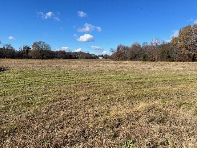 Lot 10 Brammer Road Mason, TN 38049 - Photo 1 of 1