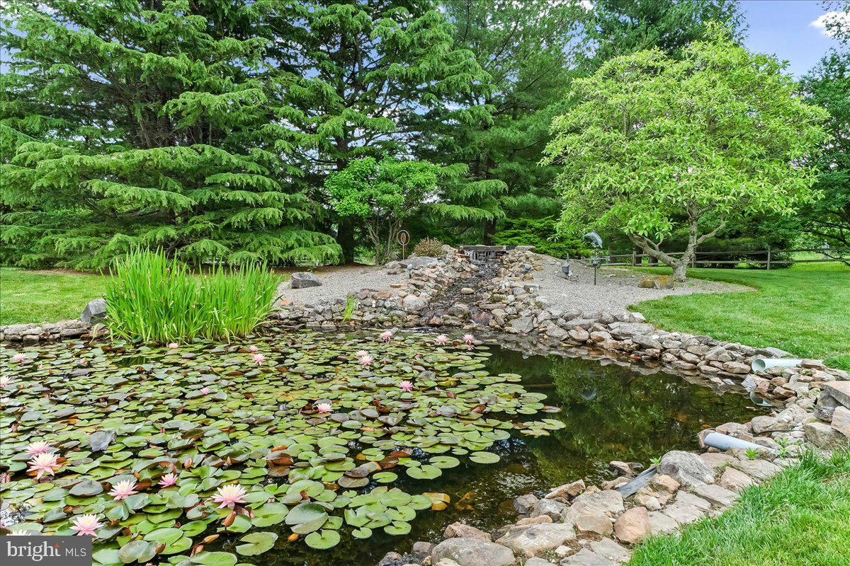 7 Bolingbroke Road West Chester, PA 19382 - Photo 72 of 86 Tranquil garden pond with lilies.