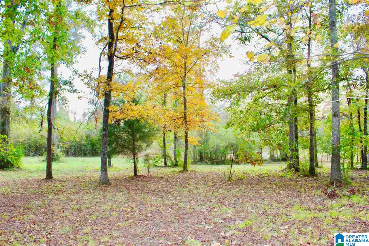 4861 Old Highway 280 Sterrett, AL 35147 - Photo 42 of 45