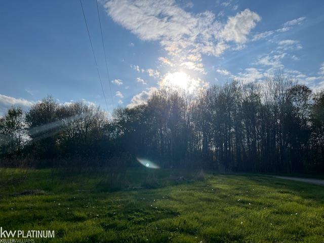 0 Fox Ridge Lane Allenton, MI 48002 - Photo 10 of 17
