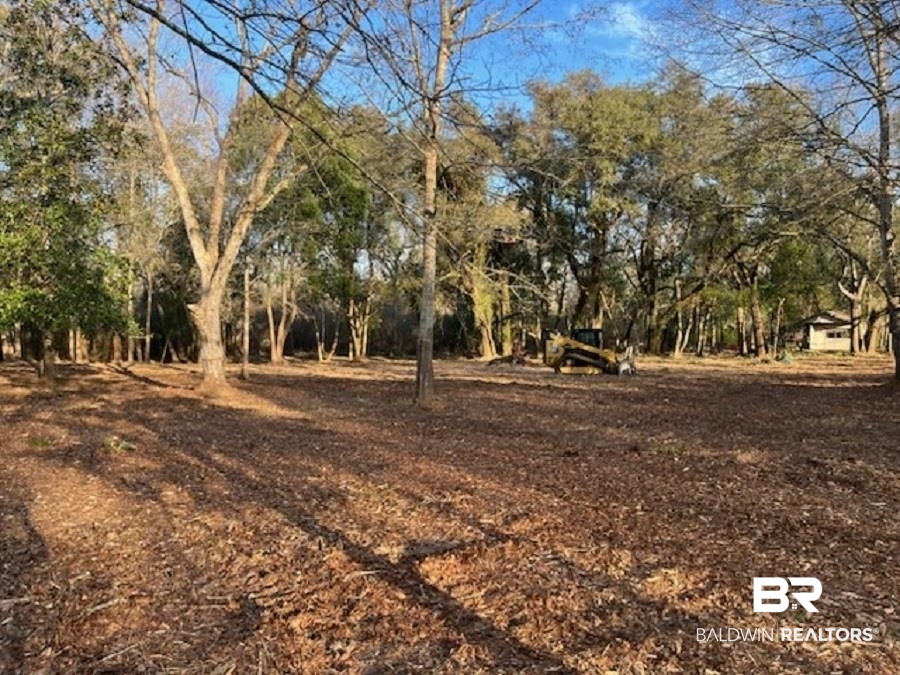 14121 Bunny Hop Foley, AL 36535 - Photo 5 of 7