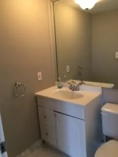 a bathroom with a sink and a toilet