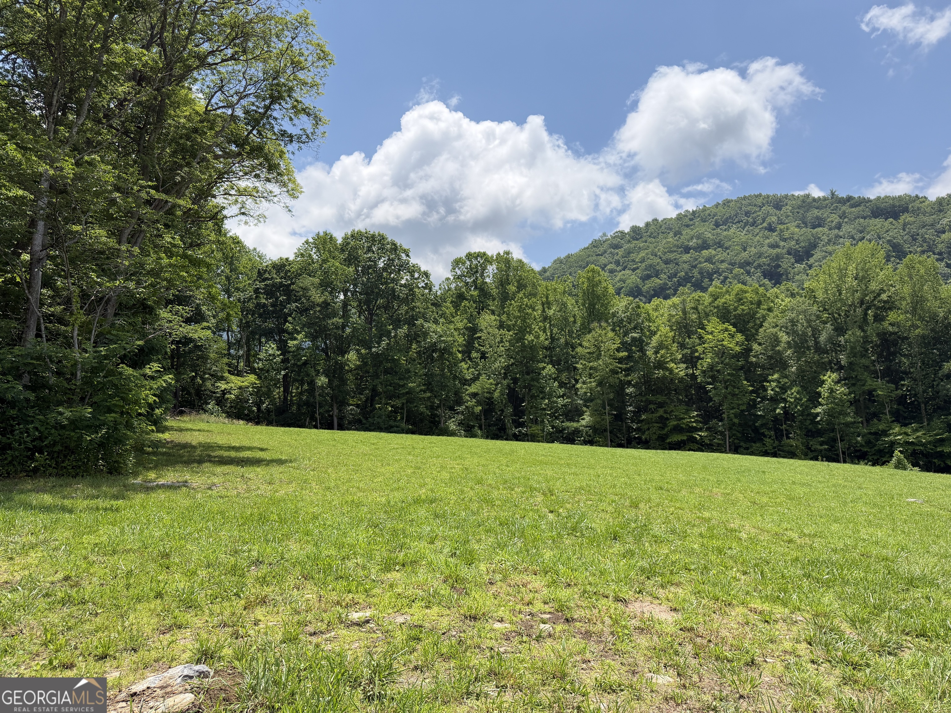 1449 Muskrat Creek Road Hayesville, NC 28904 - Photo 71 of 95