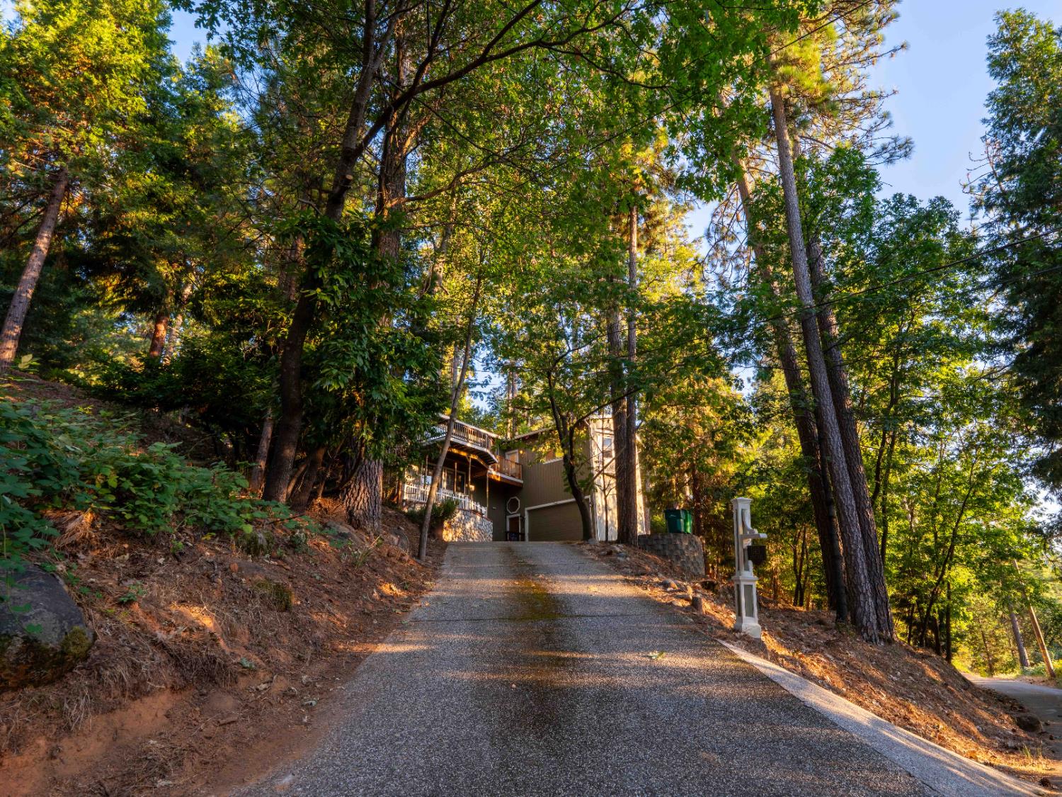 11419 Sunset Place Grass Valley, CA 95949 - Photo 45 of 47