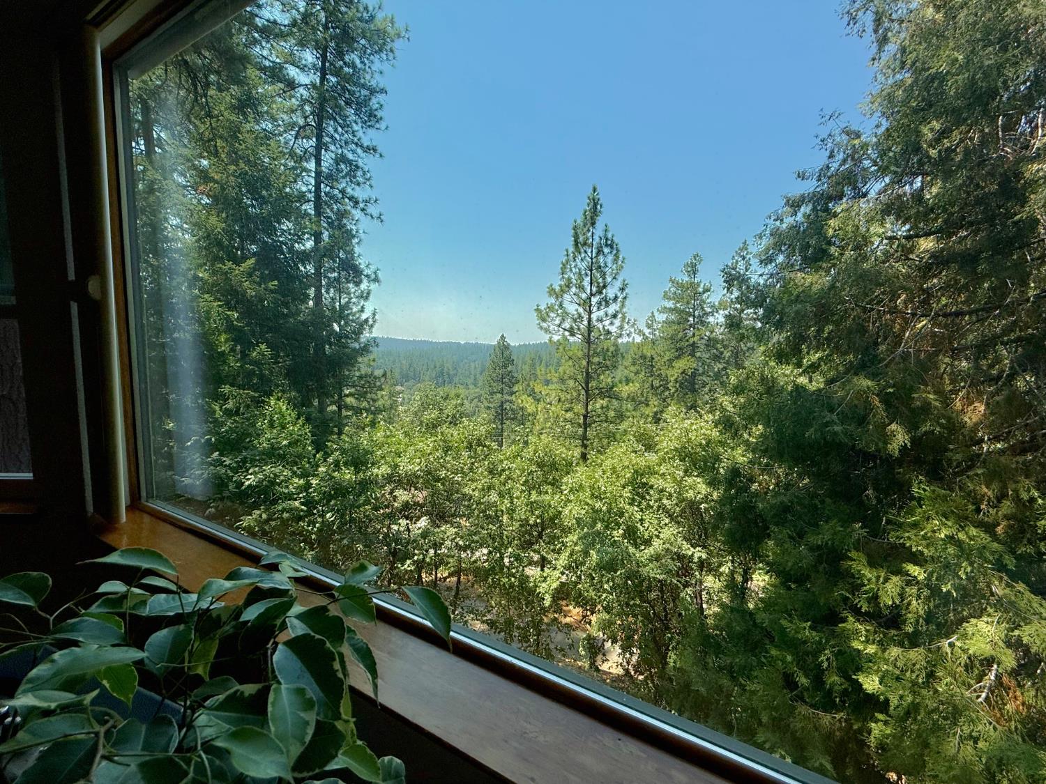 11419 Sunset Place Grass Valley, CA 95949 - Photo 5 of 47