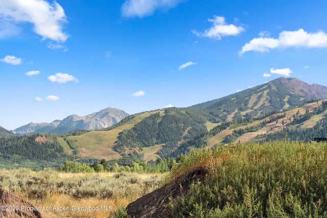 a view of a dry yard