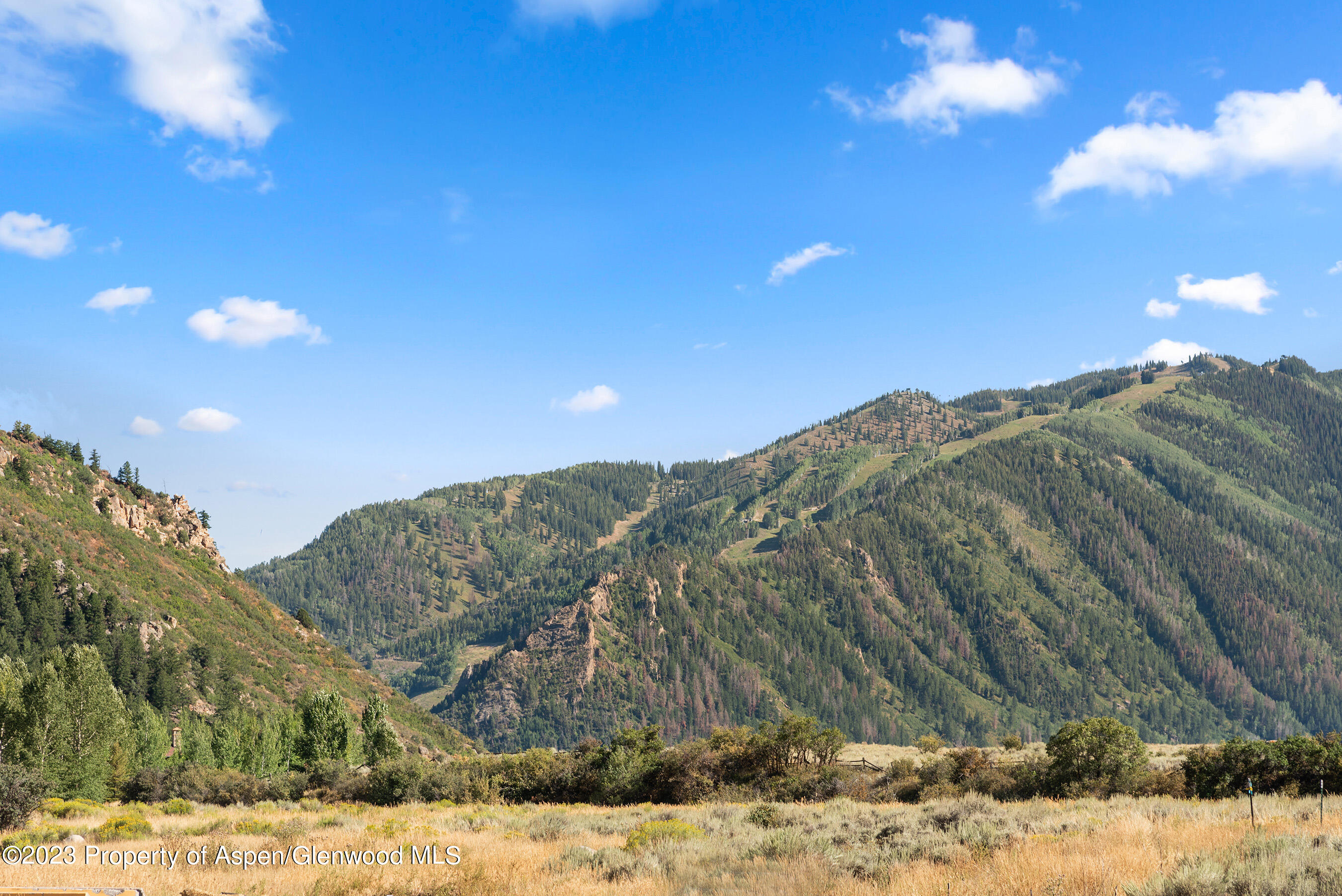 245 Slalom Path Aspen, CO 81612 - Photo 34 of 34 a view of a dry yard