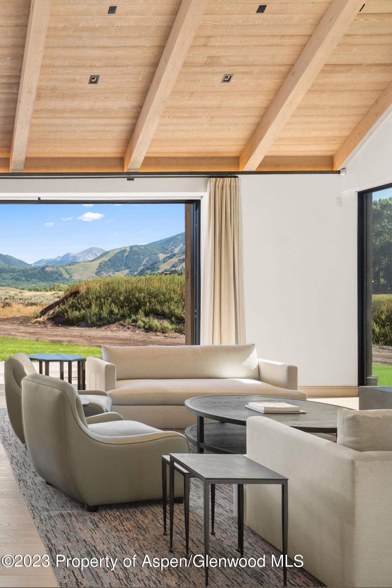 245 Slalom Path Aspen, CO 81612 - Photo 6 of 34 a living room with a couch and a table