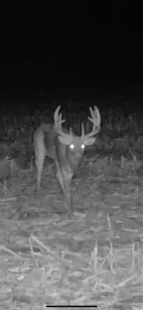 $1,274,999 | 54008 Valentine Lane, Wauzeka, WI 53826