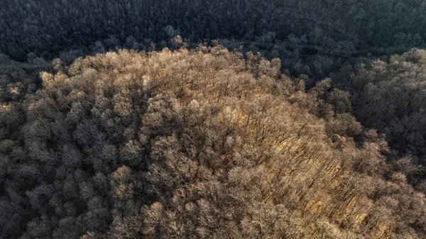 $1,274,999 | 54008 Valentine Lane, Wauzeka, WI 53826