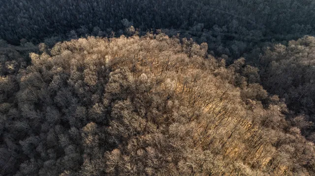 $1,274,999 | 54008 Valentine Lane, Wauzeka, WI 53826