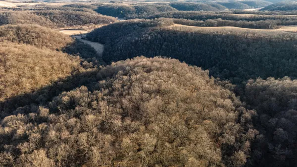 $1,274,999 | 54008 Valentine Lane, Wauzeka, WI 53826