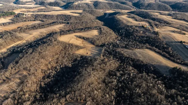 $1,274,999 | 54008 Valentine Lane, Wauzeka, WI 53826