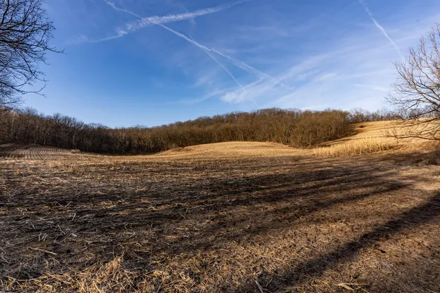 $1,274,999 | 54008 Valentine Lane, Wauzeka, WI 53826