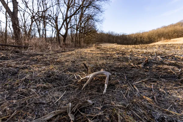 $1,274,999 | 54008 Valentine Lane, Wauzeka, WI 53826