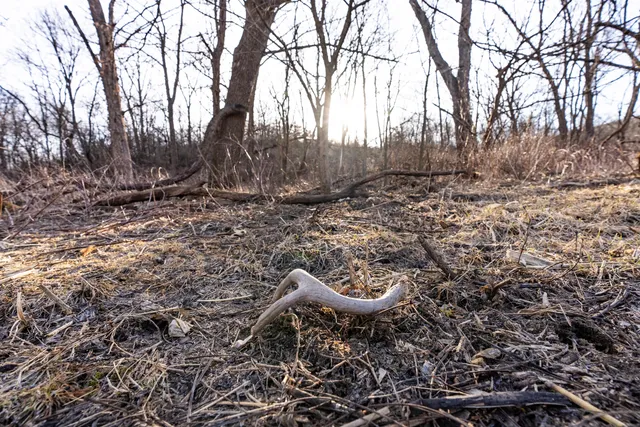 $1,274,999 | 54008 Valentine Lane, Wauzeka, WI 53826