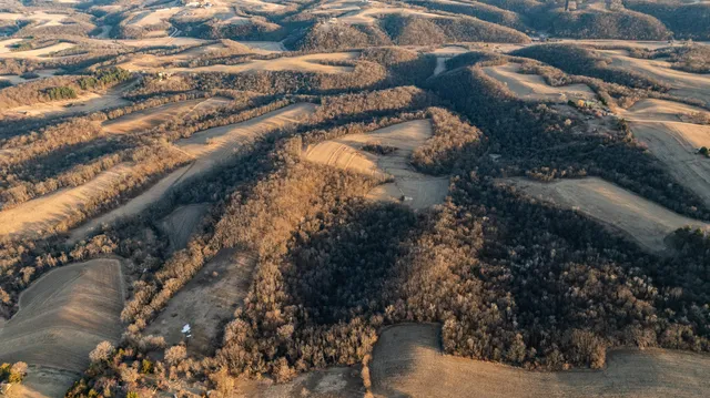 $1,274,999 | 54008 Valentine Lane, Wauzeka, WI 53826