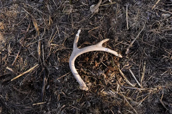 $1,274,999 | 54008 Valentine Lane, Wauzeka, WI 53826