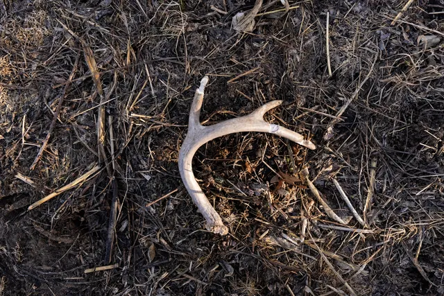 $1,274,999 | 54008 Valentine Lane, Wauzeka, WI 53826