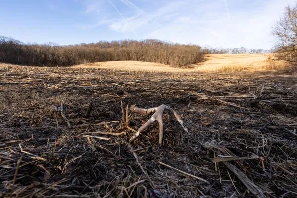 $1,274,999 | 54008 Valentine Lane, Wauzeka, WI 53826