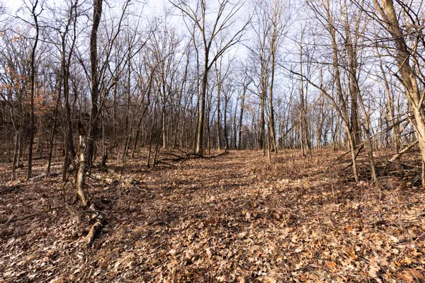 $1,274,999 | 54008 Valentine Lane, Wauzeka, WI 53826