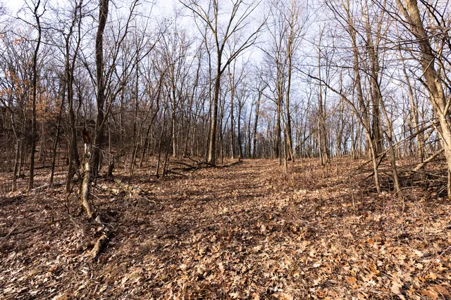 $1,274,999 | 54008 Valentine Lane, Wauzeka, WI 53826