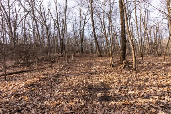 $1,274,999 | 54008 Valentine Lane, Wauzeka, WI 53826