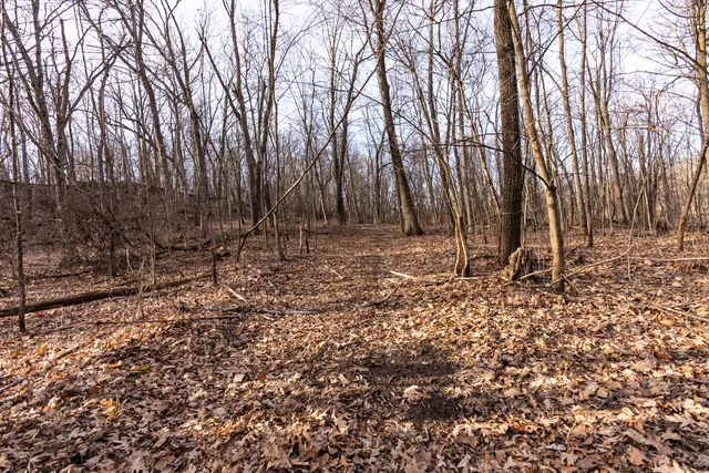 $1,274,999 | 54008 Valentine Lane, Wauzeka, WI 53826