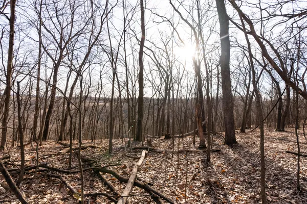 $1,274,999 | 54008 Valentine Lane, Wauzeka, WI 53826