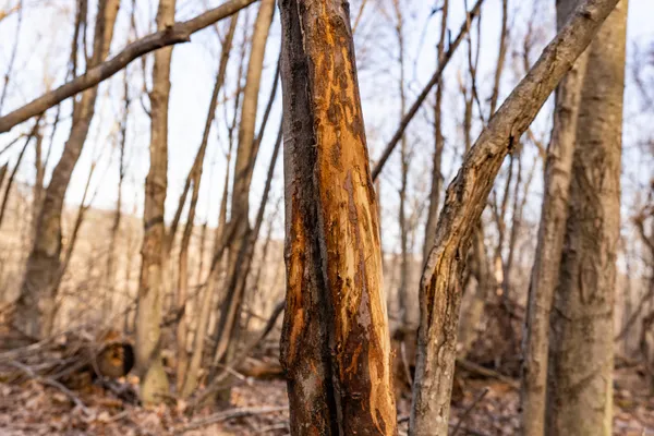 $1,274,999 | 54008 Valentine Lane, Wauzeka, WI 53826