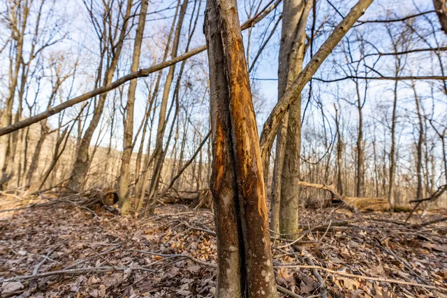 $1,274,999 | 54008 Valentine Lane, Wauzeka, WI 53826