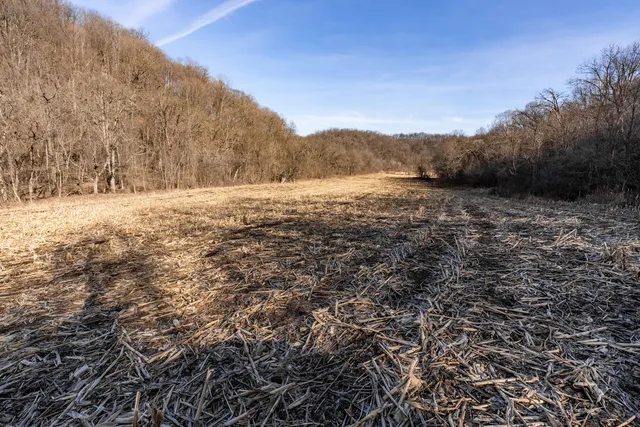 $1,274,999 | 54008 Valentine Lane, Wauzeka, WI 53826