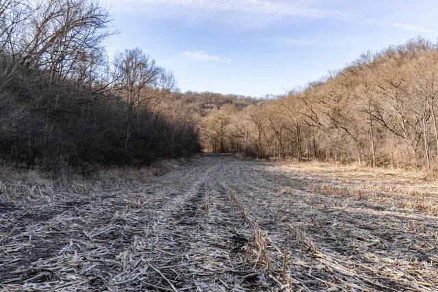 $1,274,999 | 54008 Valentine Lane, Wauzeka, WI 53826