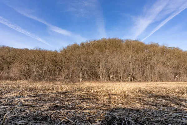 $1,274,999 | 54008 Valentine Lane, Wauzeka, WI 53826