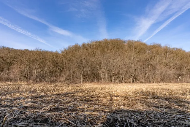 $1,274,999 | 54008 Valentine Lane, Wauzeka, WI 53826