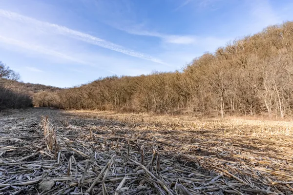 $1,274,999 | 54008 Valentine Lane, Wauzeka, WI 53826