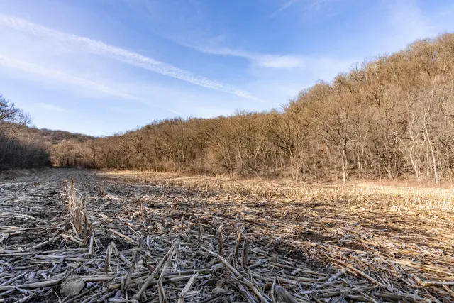 $1,274,999 | 54008 Valentine Lane, Wauzeka, WI 53826