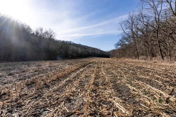 $1,274,999 | 54008 Valentine Lane, Wauzeka, WI 53826