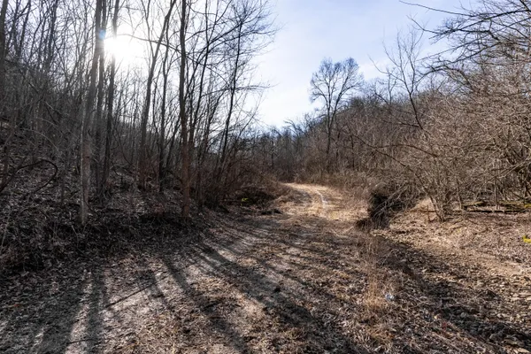 $1,274,999 | 54008 Valentine Lane, Wauzeka, WI 53826