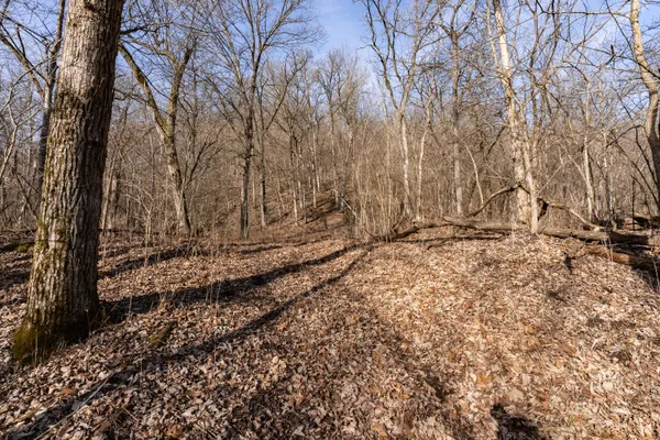 $1,274,999 | 54008 Valentine Lane, Wauzeka, WI 53826